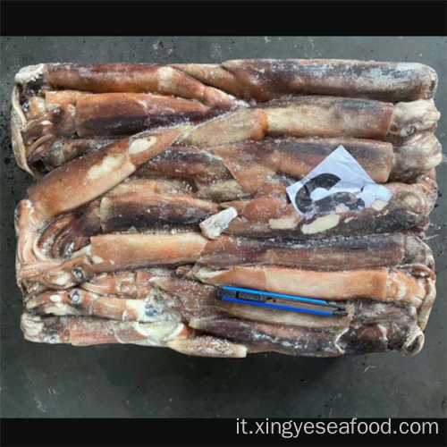 Frozen intero rotondo di calamari illex argentino